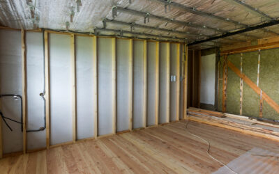 Tackling Crawl Space Mold: Strategies for Successful Removal